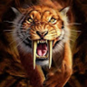 Meet your Posher, Noodle